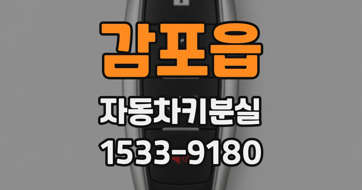 감포읍 자동차키분실