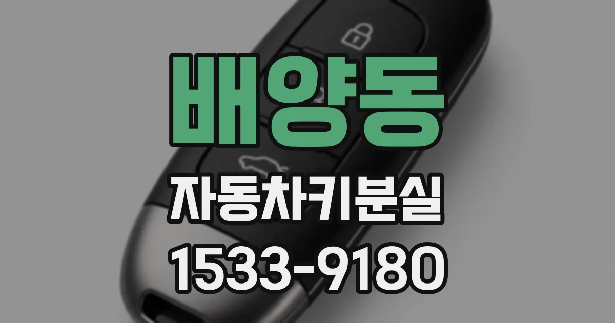 배양동 자동차키분실