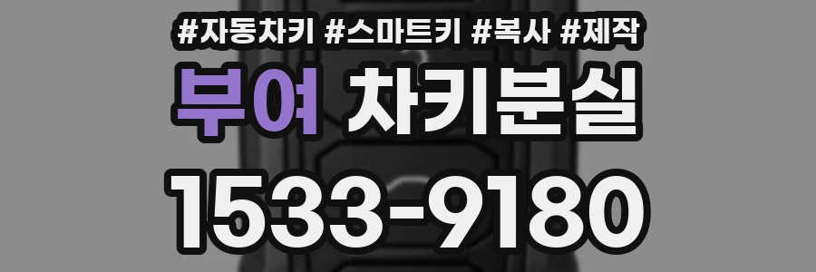 부여 차키분실