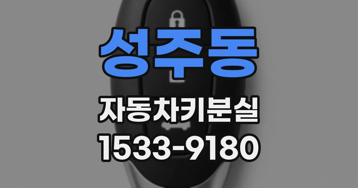 성주동 자동차키분실