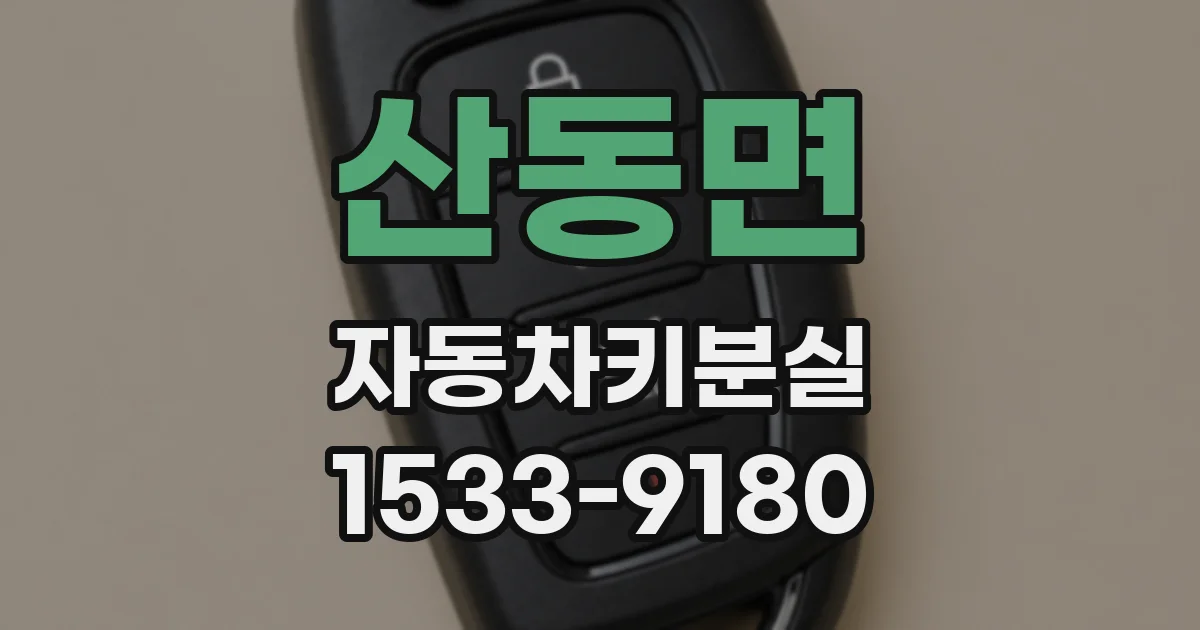 산동면 자동차키분실