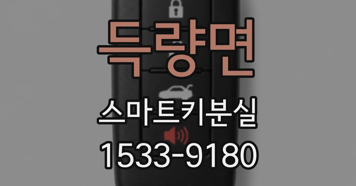 득량면 스마트키분실