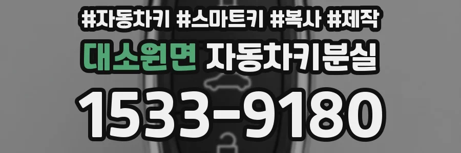 대소원면 자동차키분실