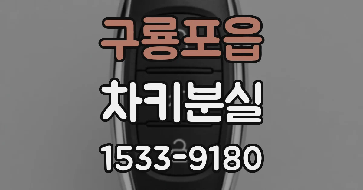 구룡포읍 차키분실