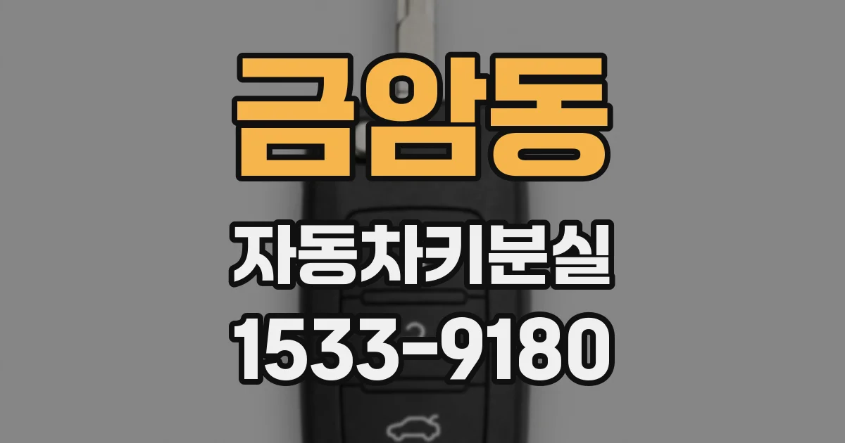 금암동 자동차키분실