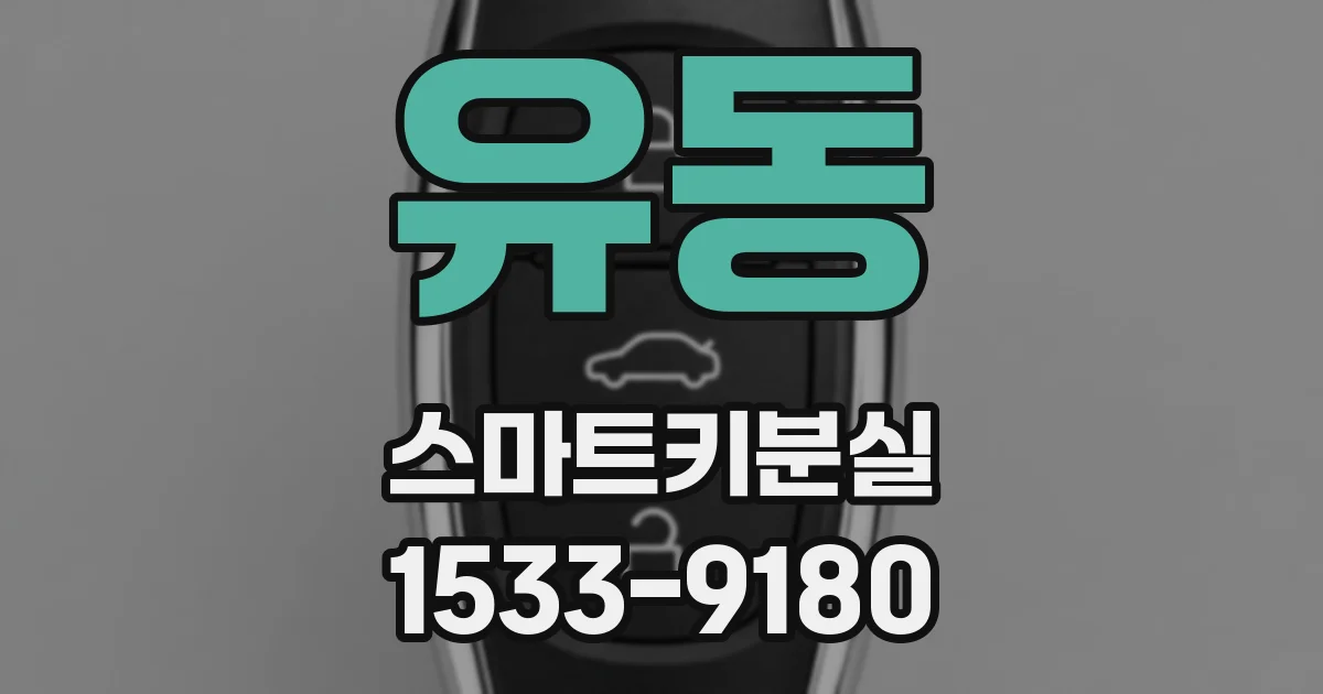 유동 스마트키분실