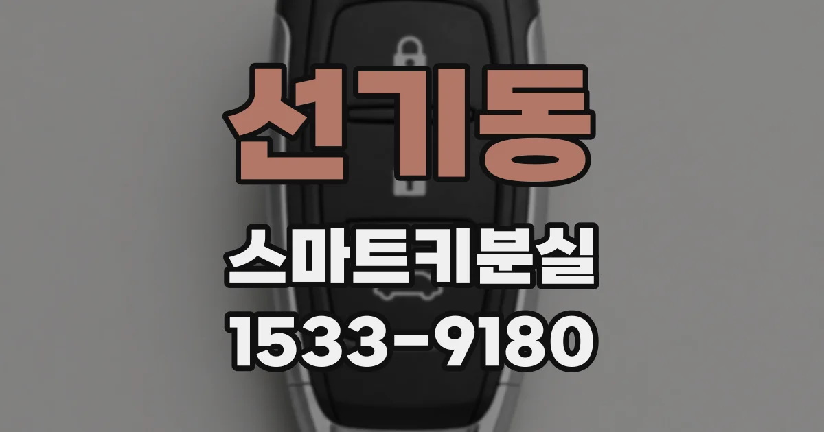 선기동 스마트키분실