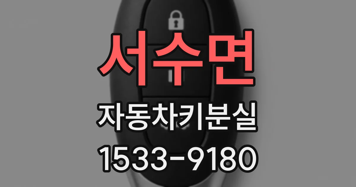 서수면 자동차키분실