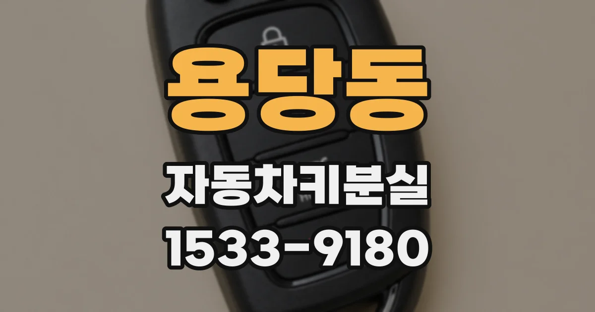 용당동 자동차키분실