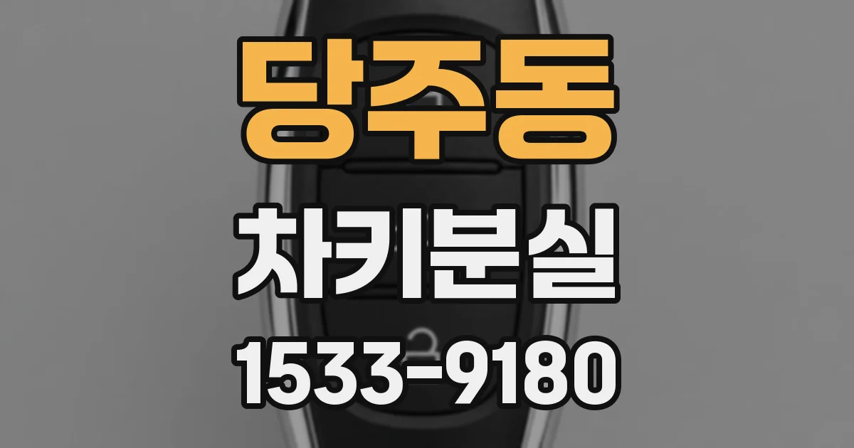 당주동 차키분실