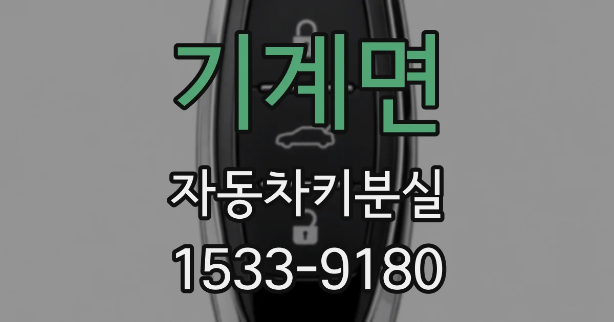 기계면 자동차키분실