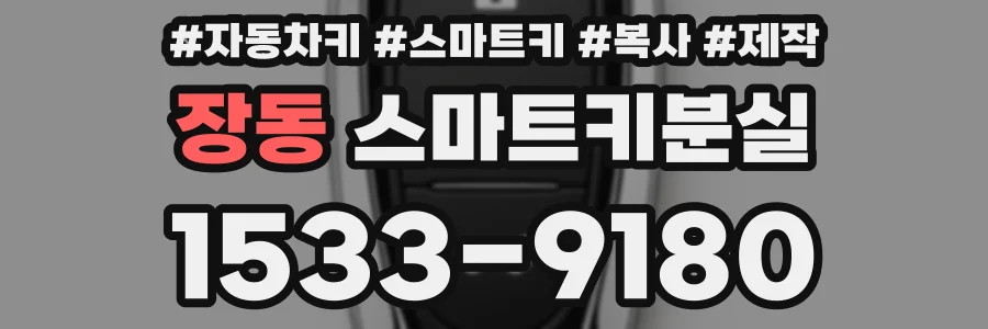장동 스마트키분실