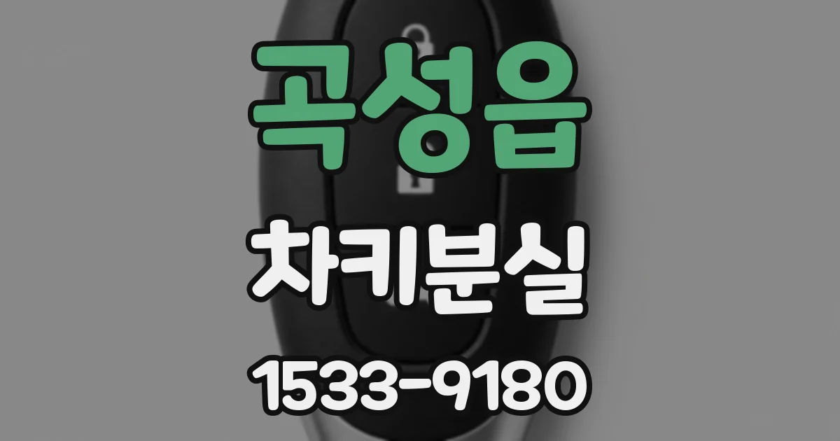 곡성읍 차키분실