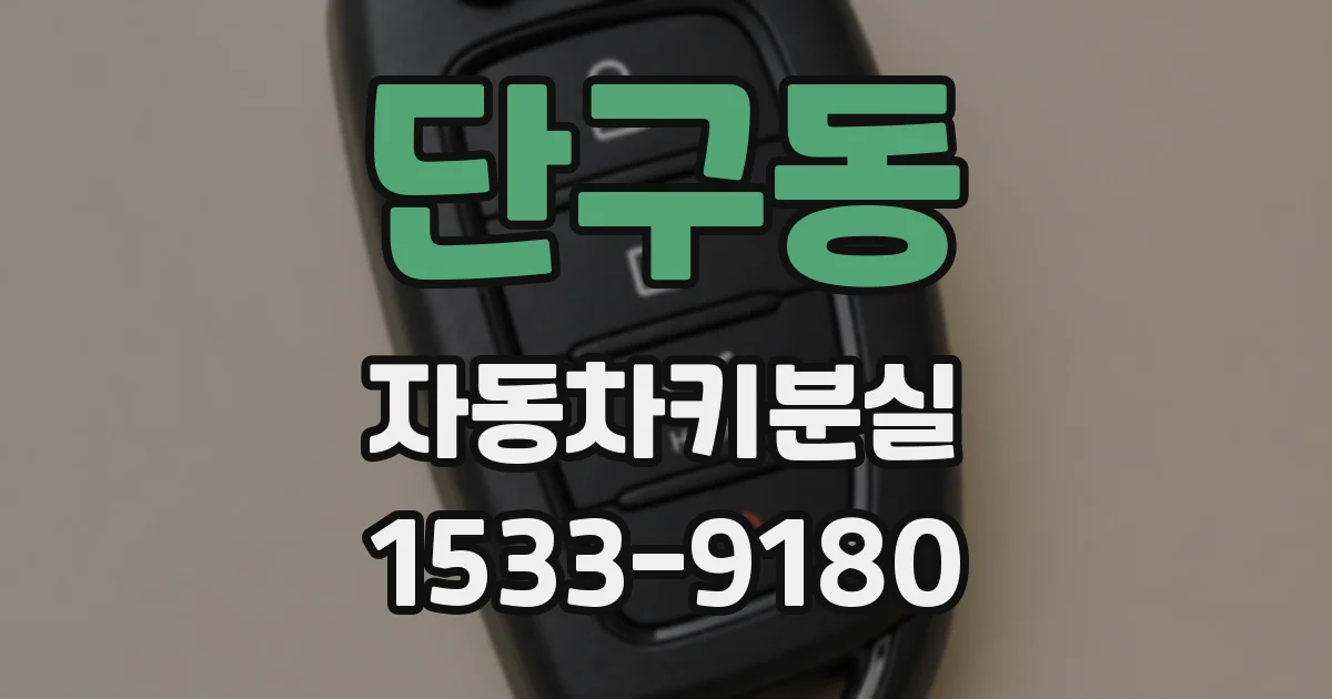 단구동 자동차키분실