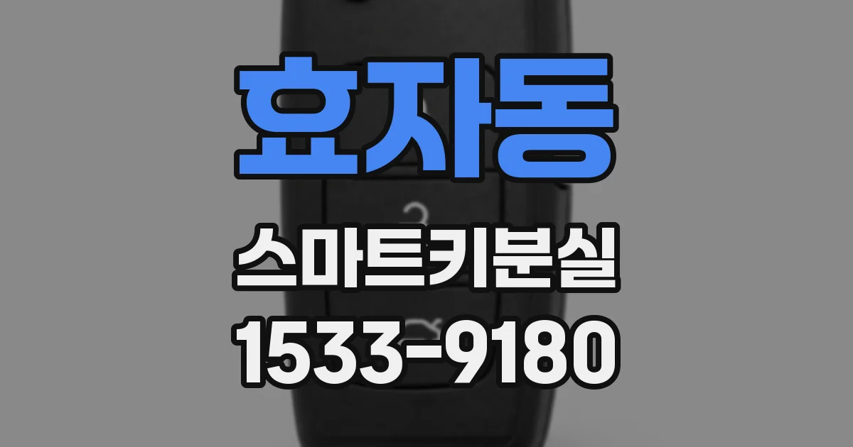 효자동 스마트키분실