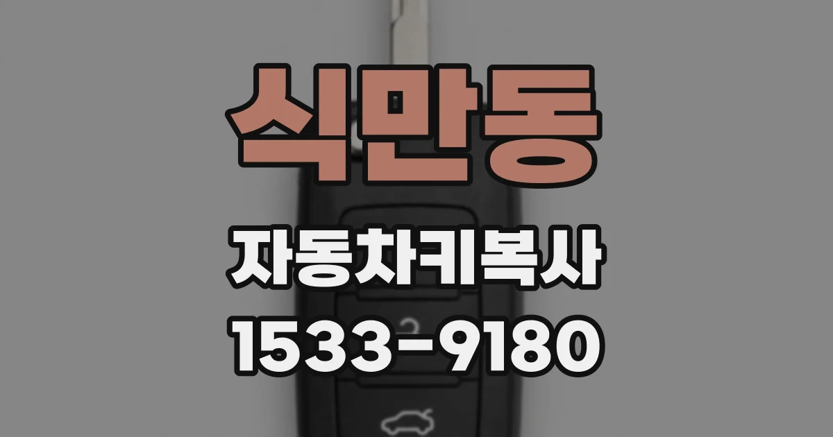 식만동 자동차키복사