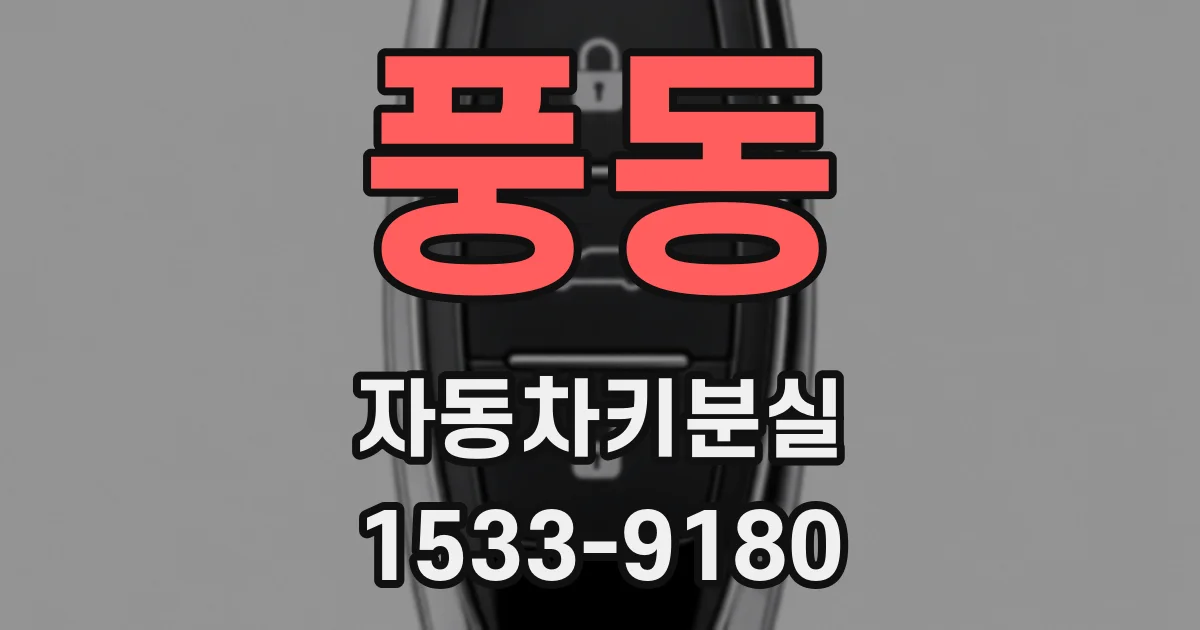 풍동 자동차키분실