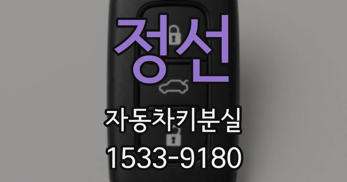 정선 자동차키분실