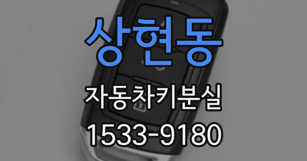 상현동 자동차키분실