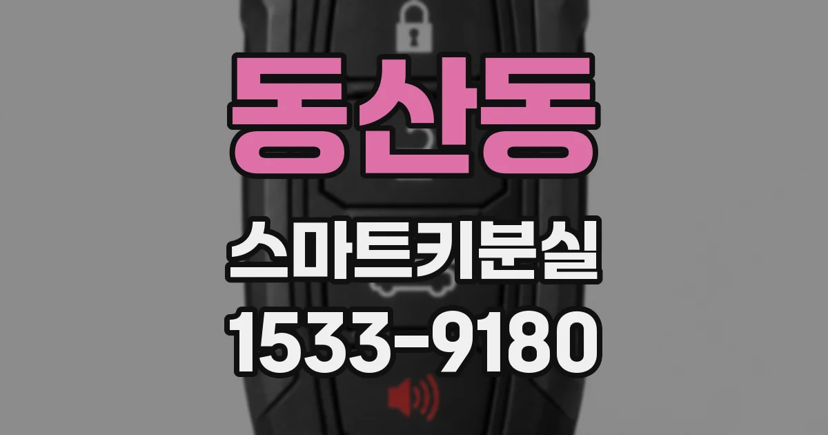 동산동 스마트키분실