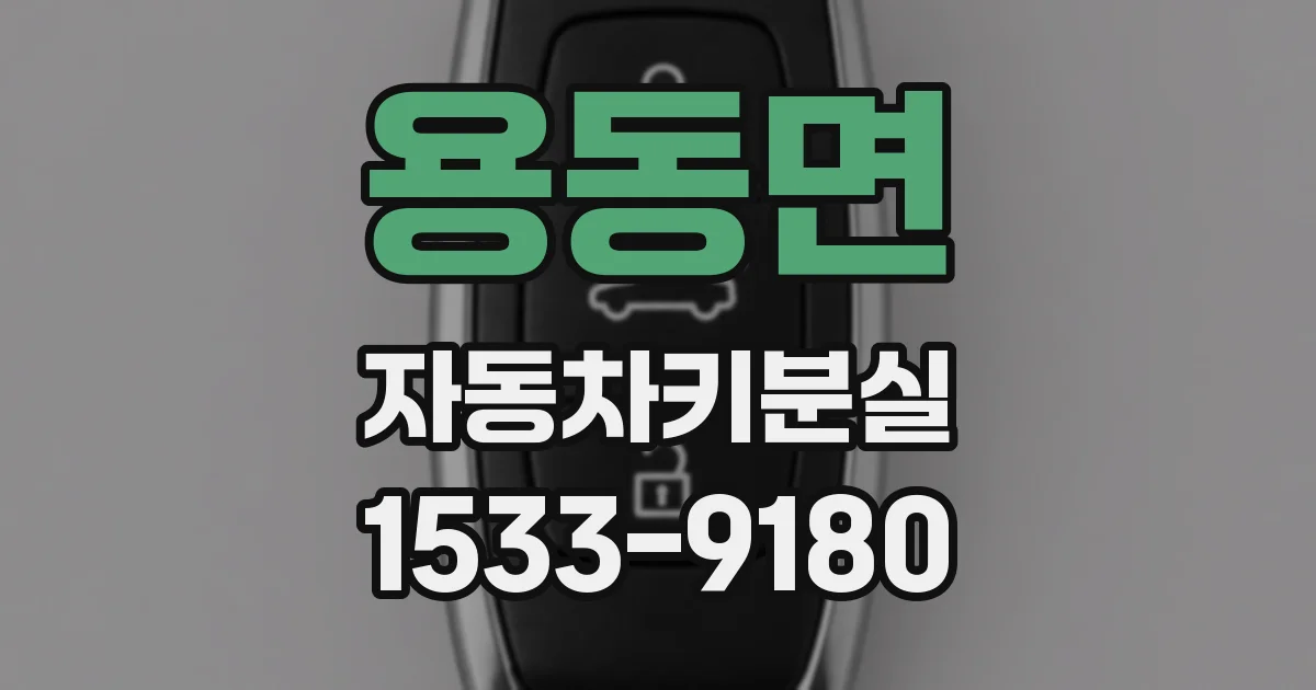 용동면 자동차키분실