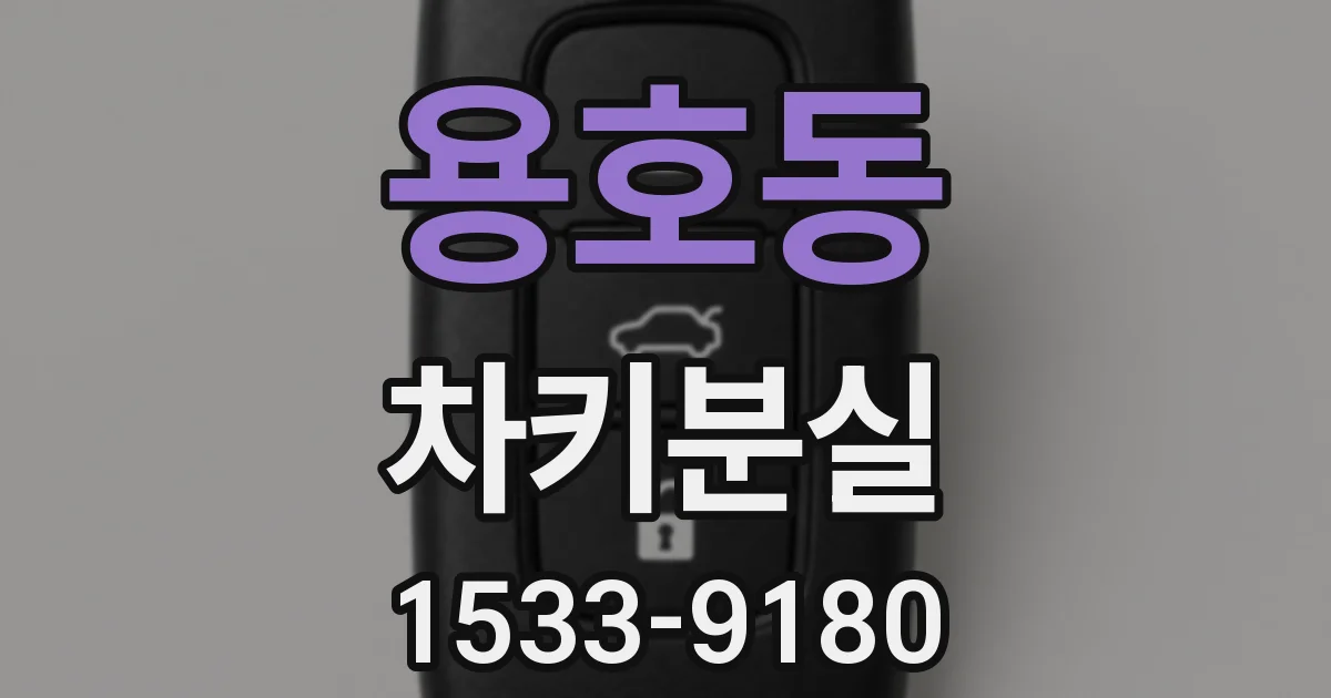 용호동 차키분실