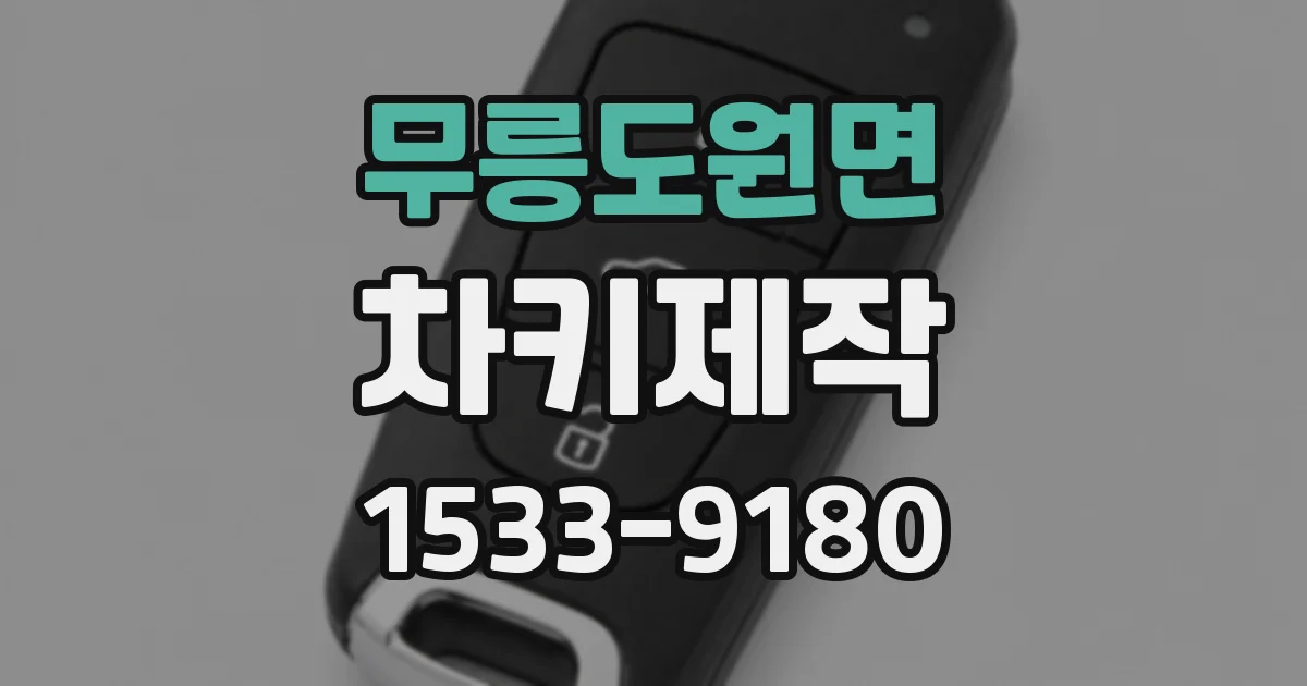 무릉도원면 차키제작