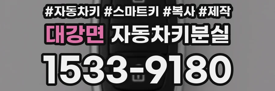 대강면 자동차키분실
