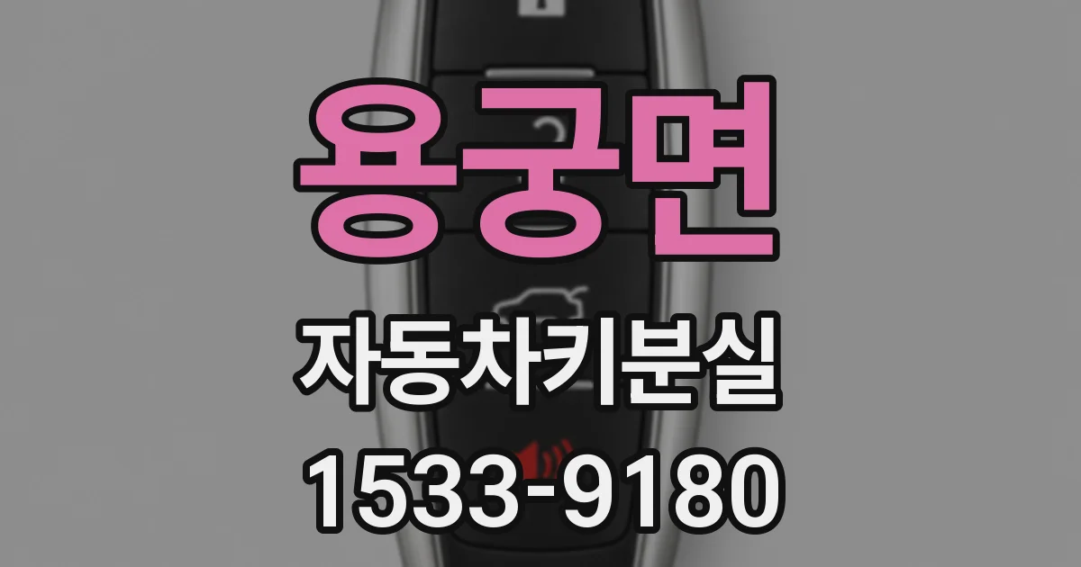 용궁면 자동차키분실