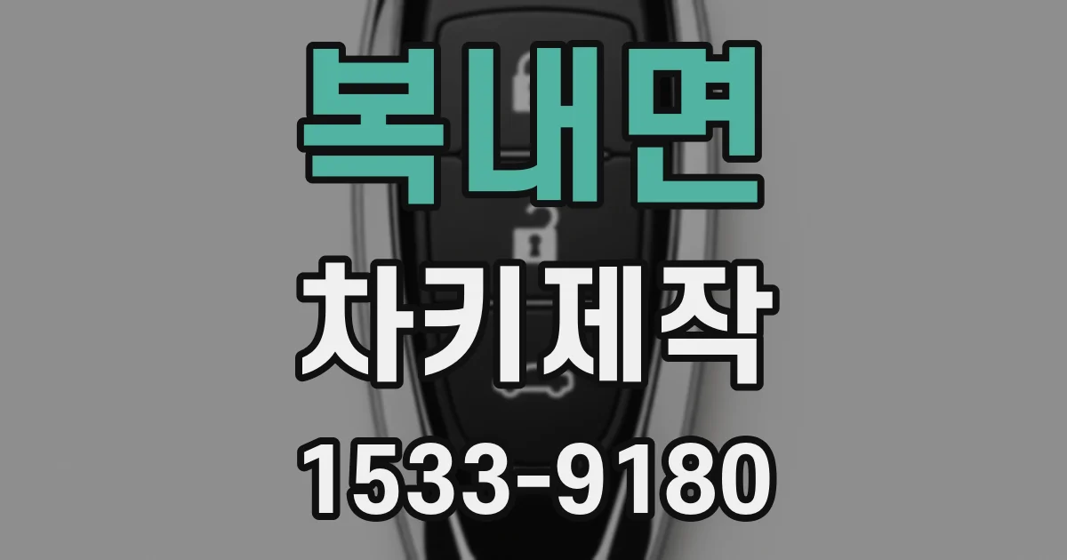 복내면 차키제작