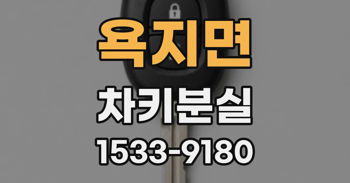 욕지면 차키분실
