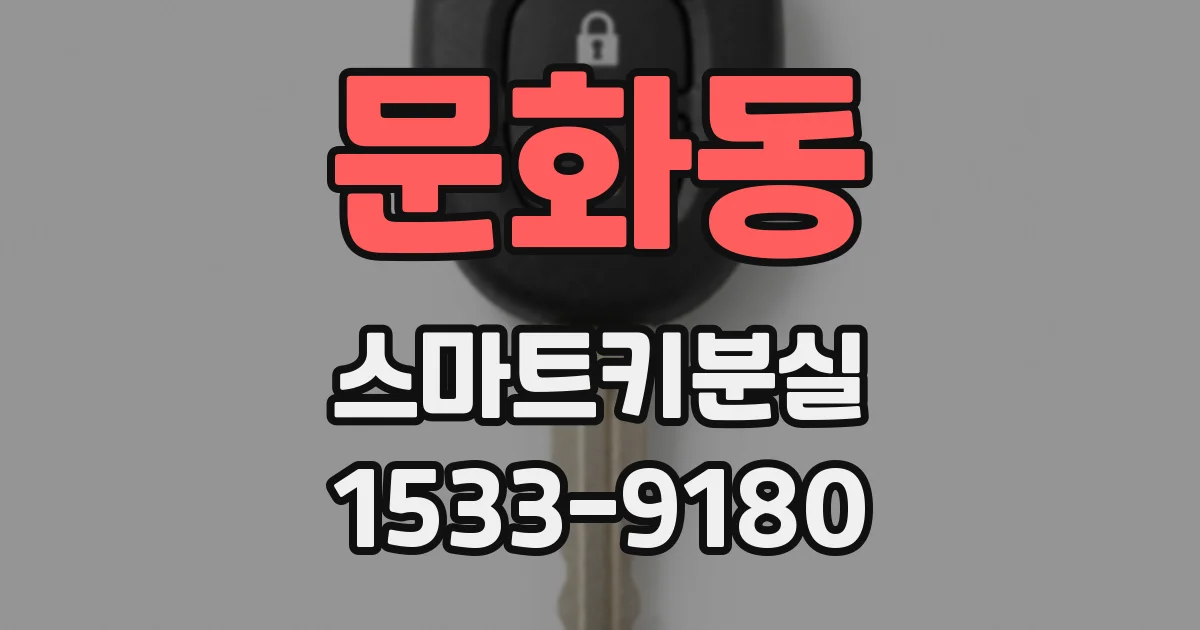 문화동 스마트키분실