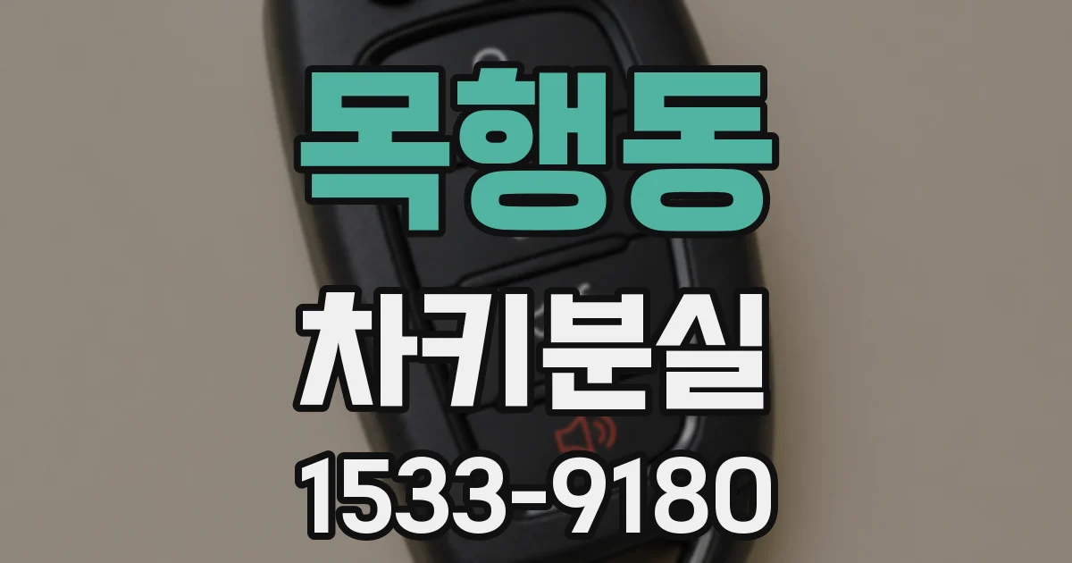 목행동 차키분실