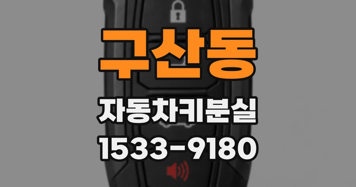 구산동 자동차키분실