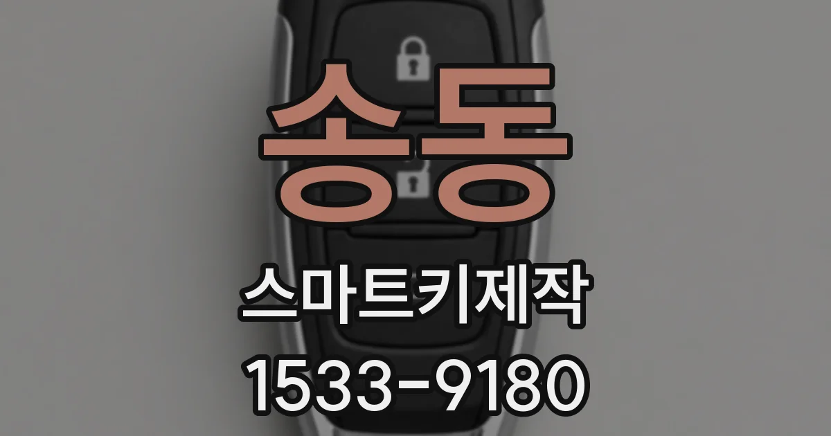 송동 스마트키제작