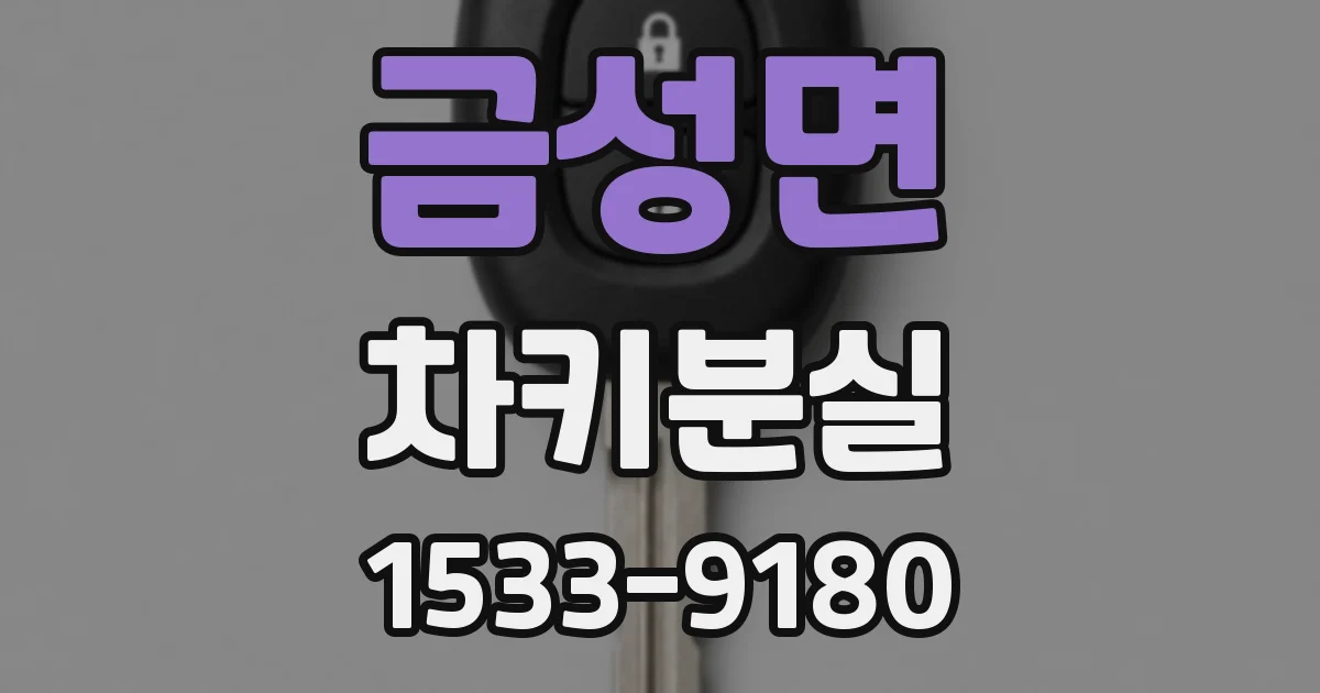 금성면 차키분실