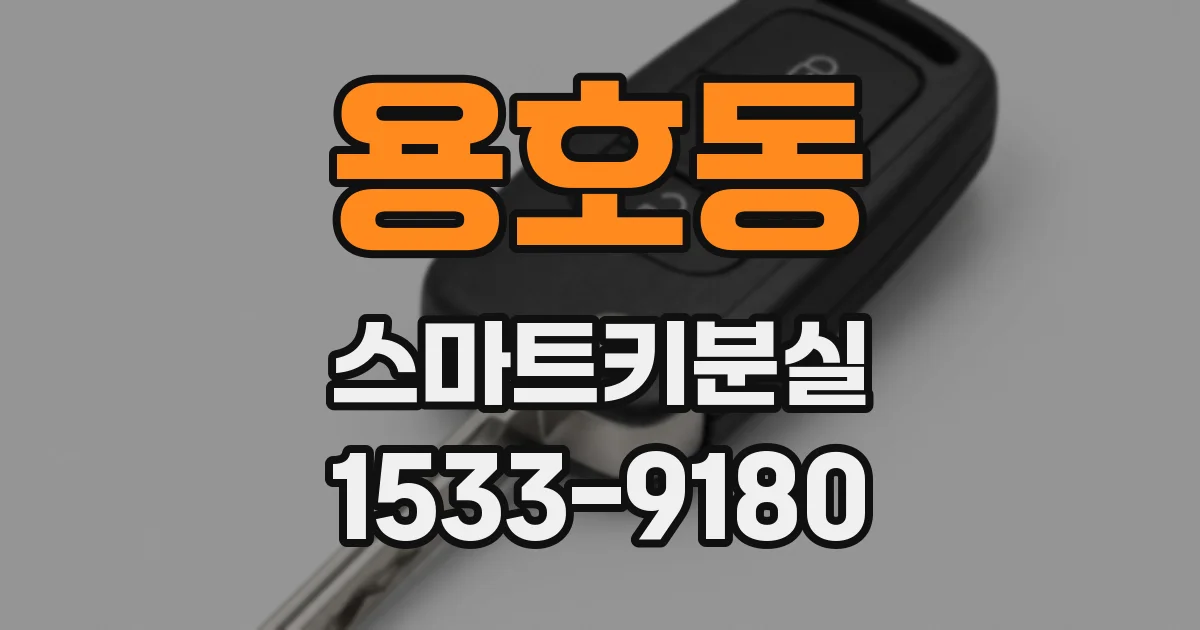 용호동 스마트키분실