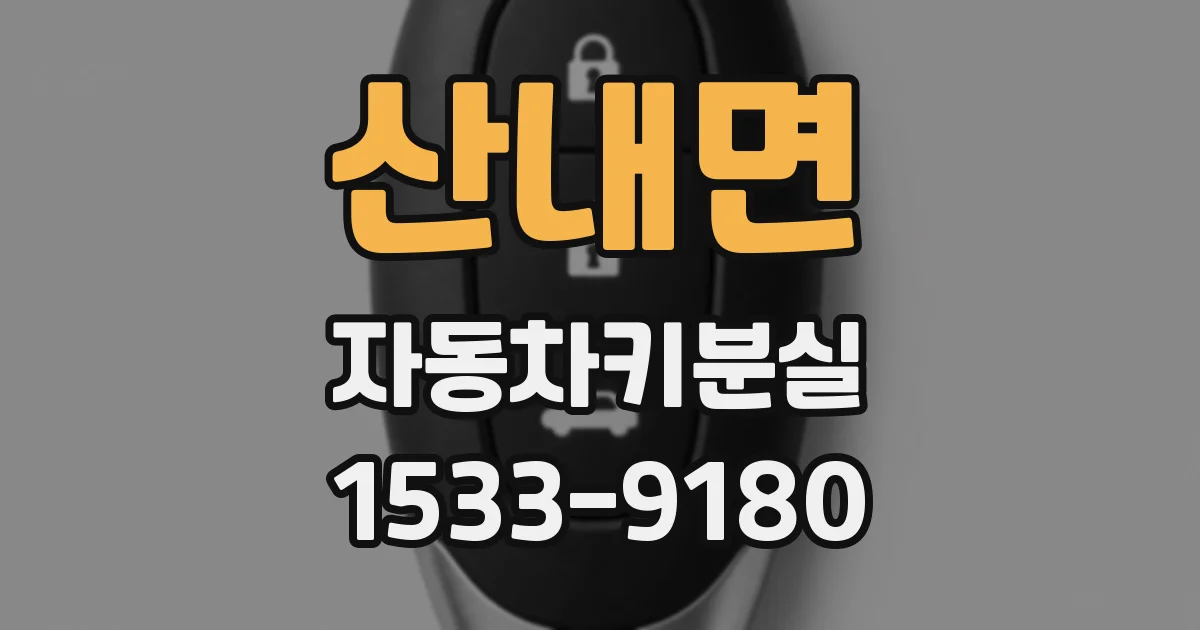 산내면 자동차키분실