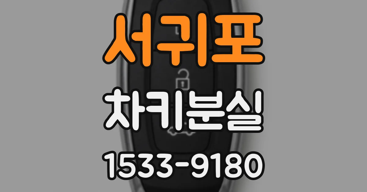 서귀포 차키분실