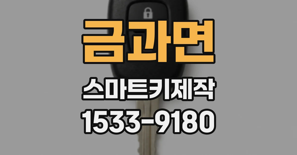 금과면 스마트키제작