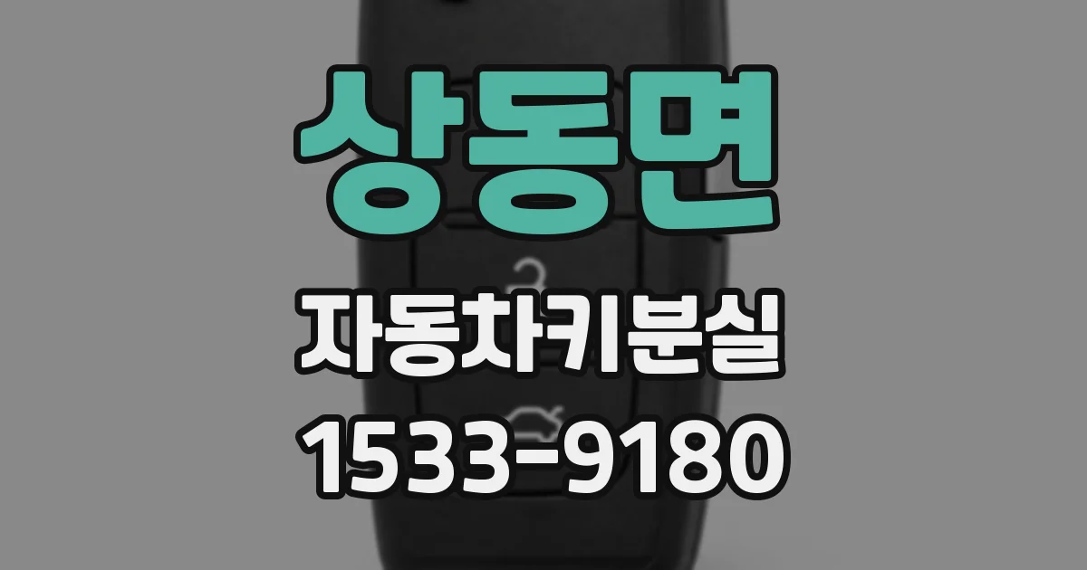 상동면 자동차키분실