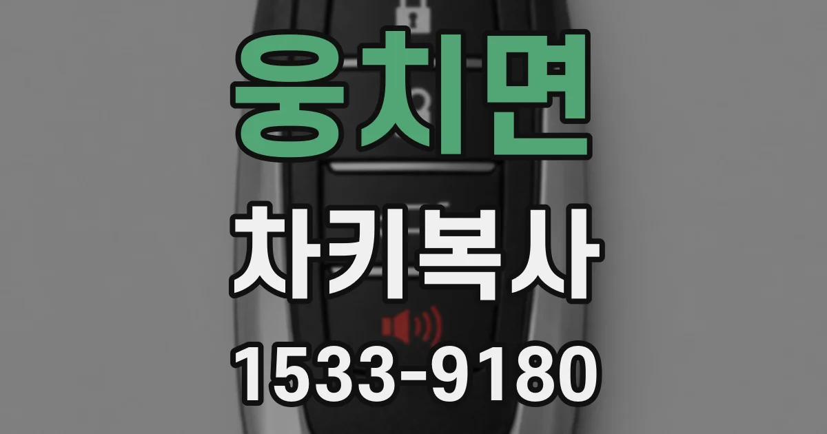 웅치면 차키복사