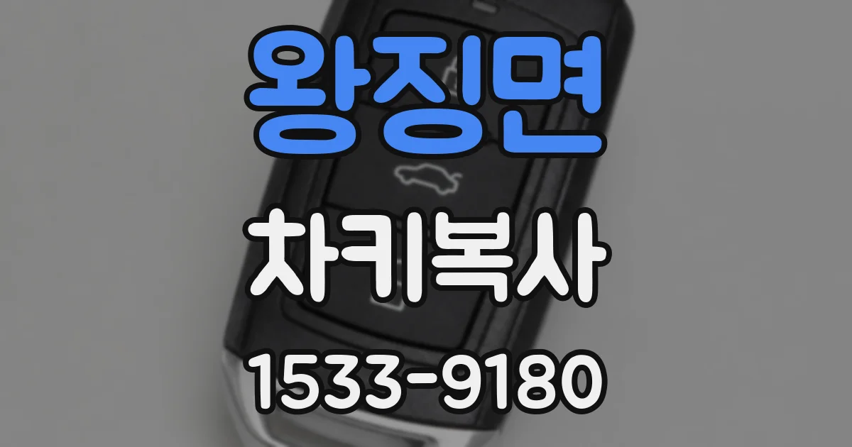 왕징면 차키복사