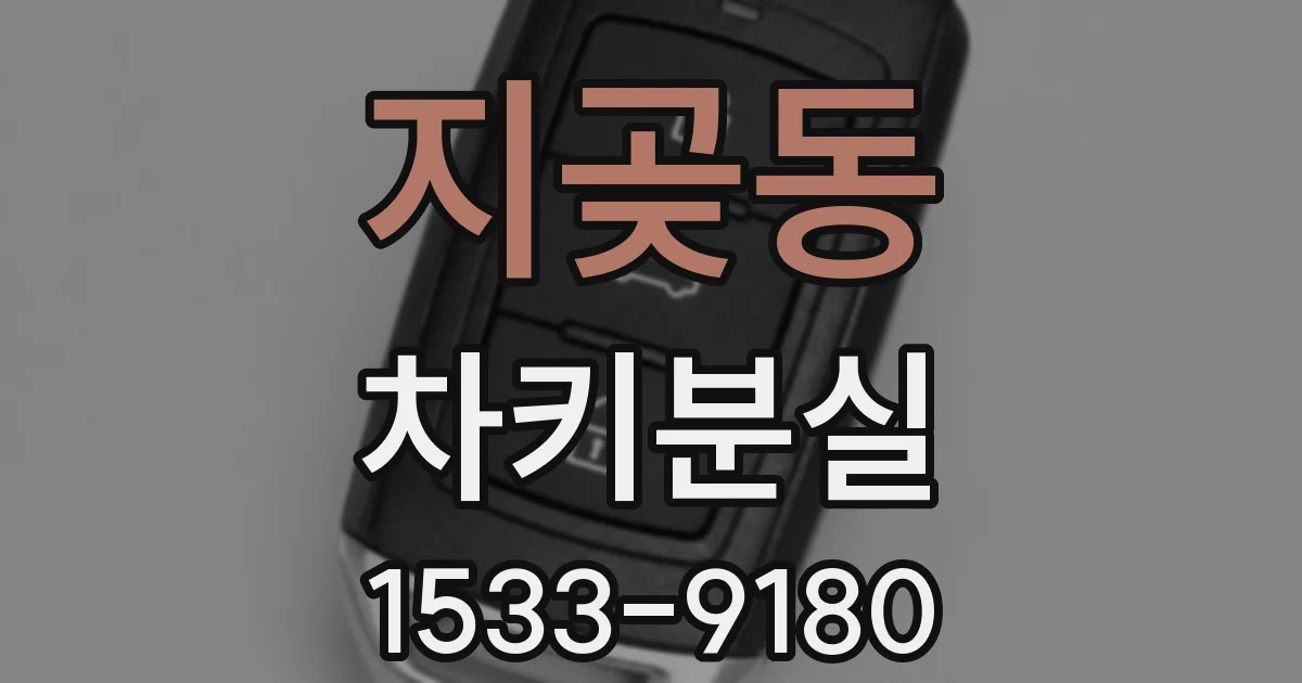 지곶동 차키분실