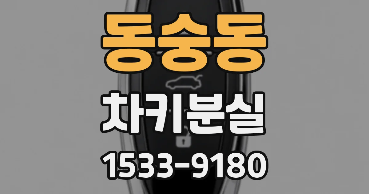 동숭동 차키분실