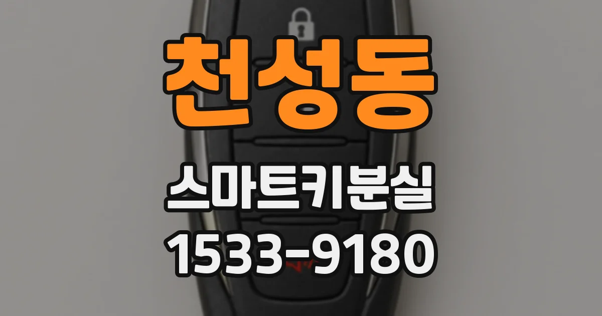 천성동 스마트키분실