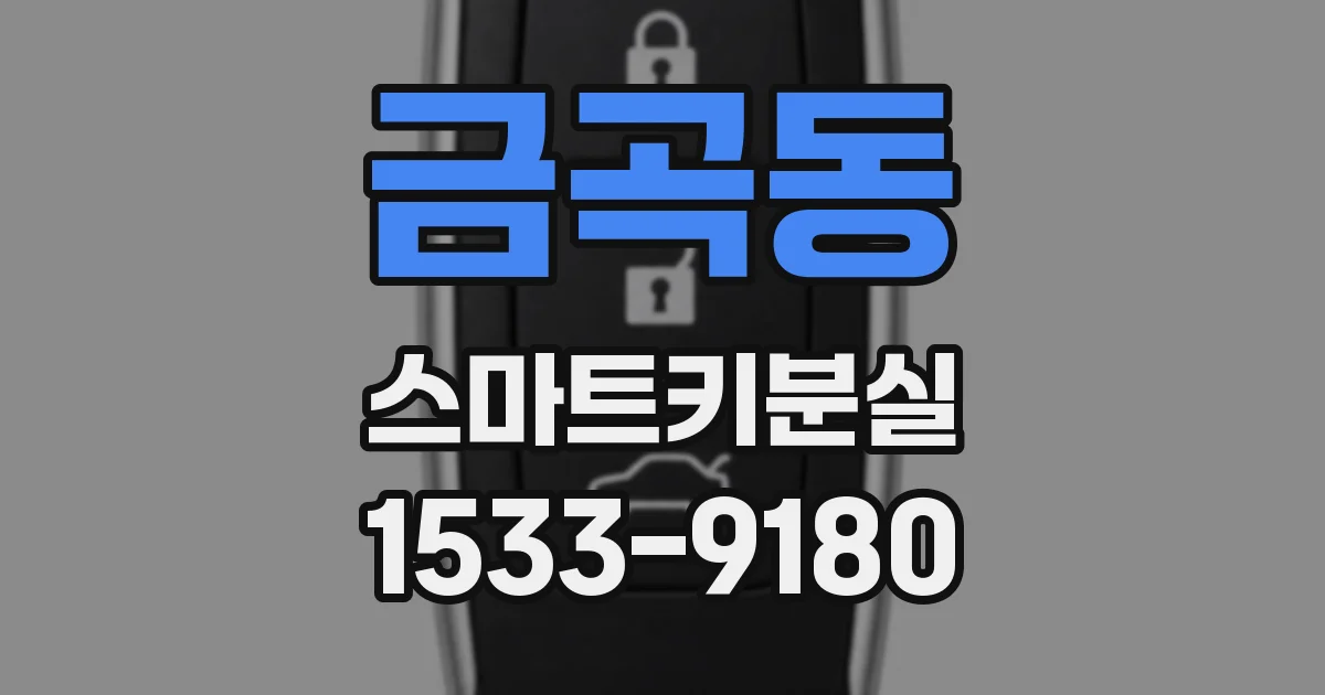 금곡동 스마트키분실