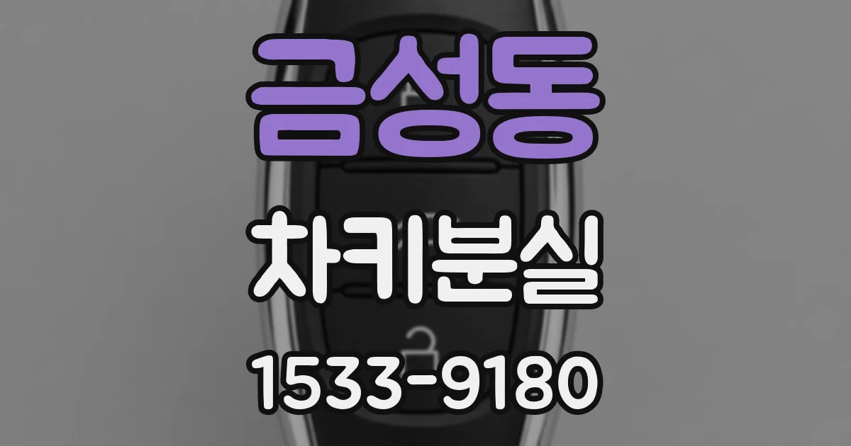 금성동 차키분실