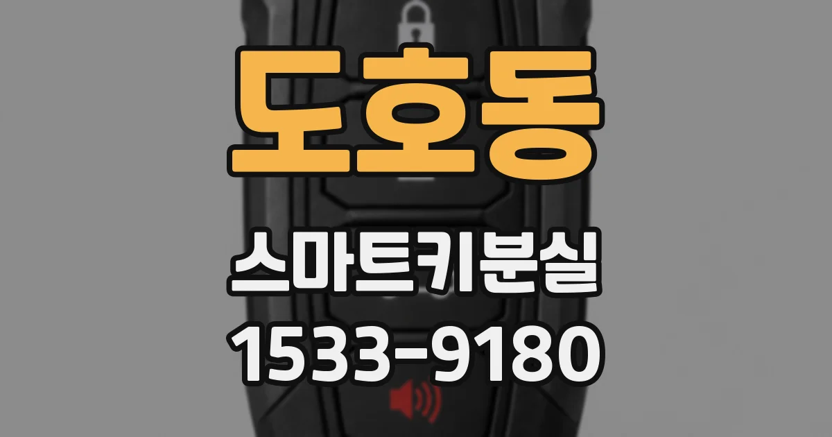 도호동 스마트키분실