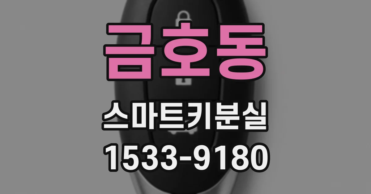 금호동 스마트키분실